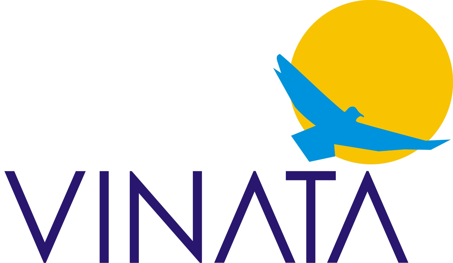Vinata Finances